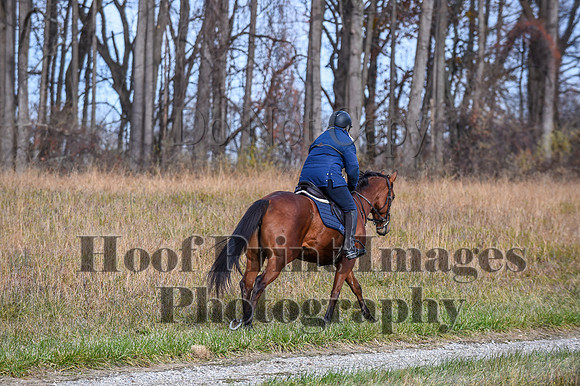 FairHillFallPC(11-12-23)0414