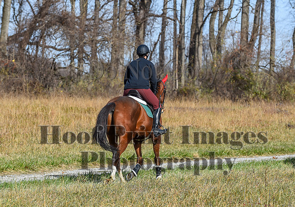 FairHillFallPC(11-12-23)0476