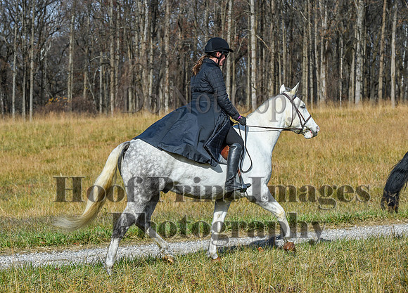 FairHillFallPC(11-12-23)0501