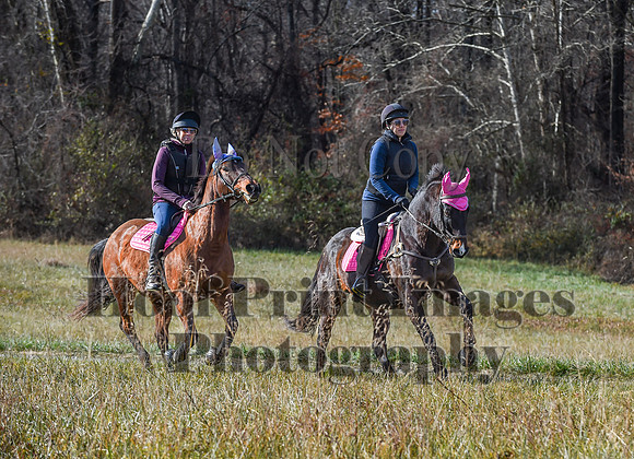 FairHillFallPC(11-12-23)0609