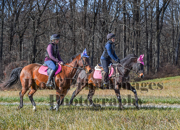 FairHillFallPC(11-12-23)0613