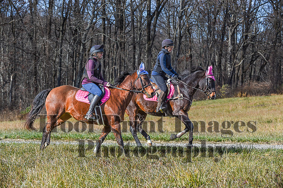 FairHillFallPC(11-12-23)0617