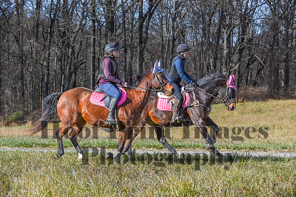 FairHillFallPC(11-12-23)0618