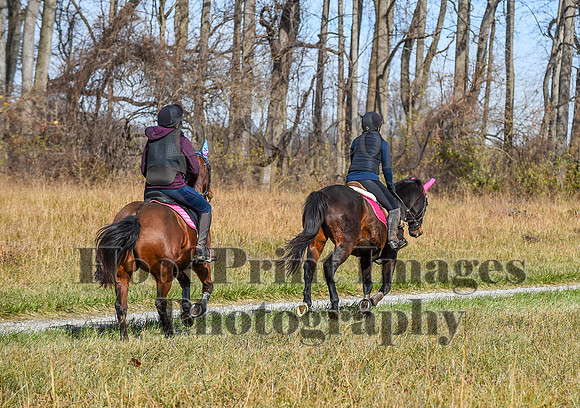 FairHillFallPC(11-12-23)0619