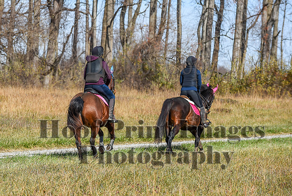 FairHillFallPC(11-12-23)0621