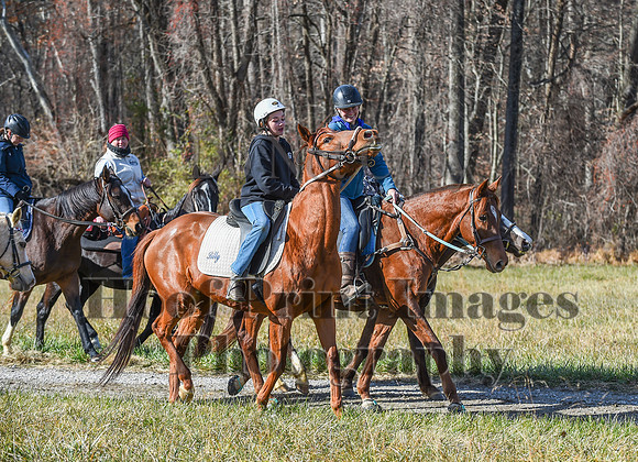 FairHillFallPC(11-12-23)0630