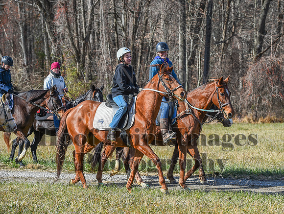 FairHillFallPC(11-12-23)0631