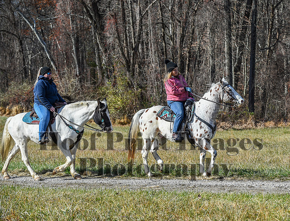 FairHillFallPC(11-12-23)0642