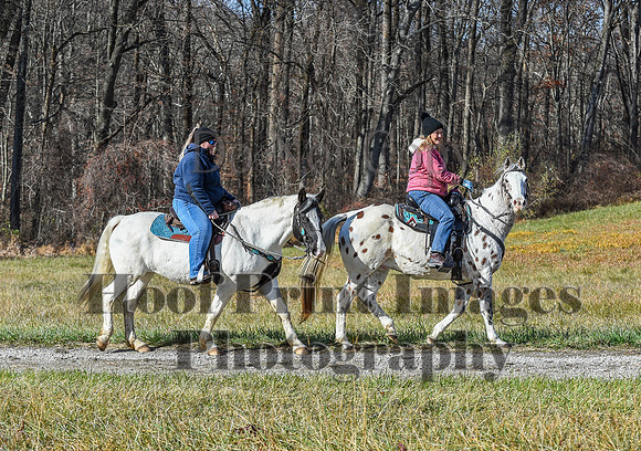 FairHillFallPC(11-12-23)0649