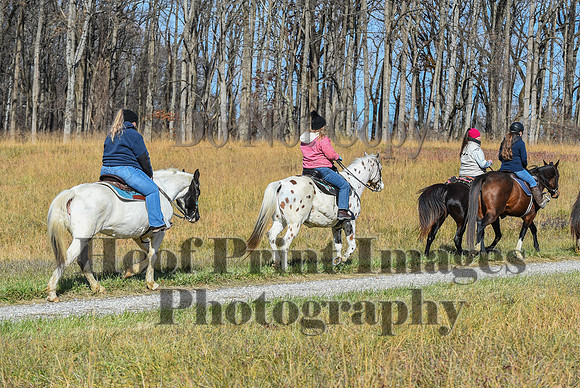 FairHillFallPC(11-12-23)0655