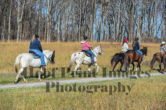 FairHillFallPC(11-12-23)0656