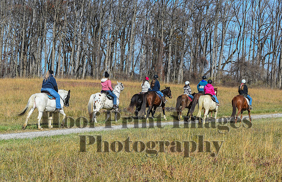 FairHillFallPC(11-12-23)0660