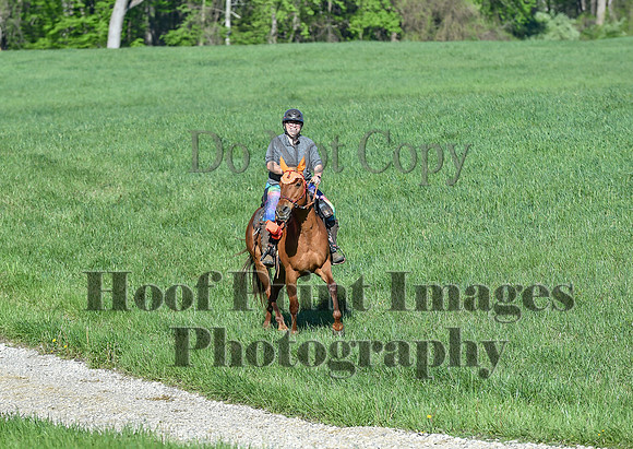 ChesapeakeSpring(4-27-25)0343