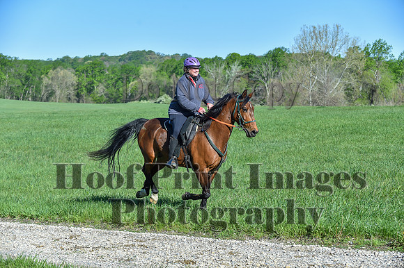 ChesapeakeSpring(4-27-25)0416