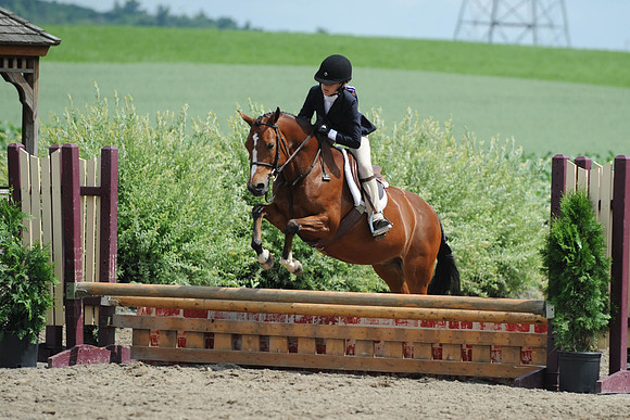 SC(6-28-14)SMPony0071