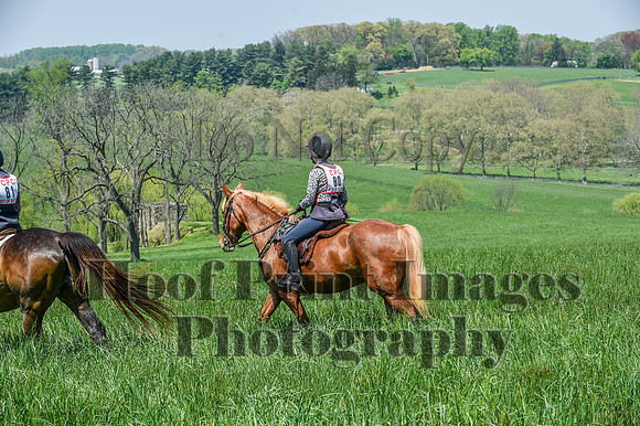 CheshireSpringPC1(4-28-24)0526