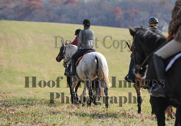 AndrewsBr(11-9-14)0584