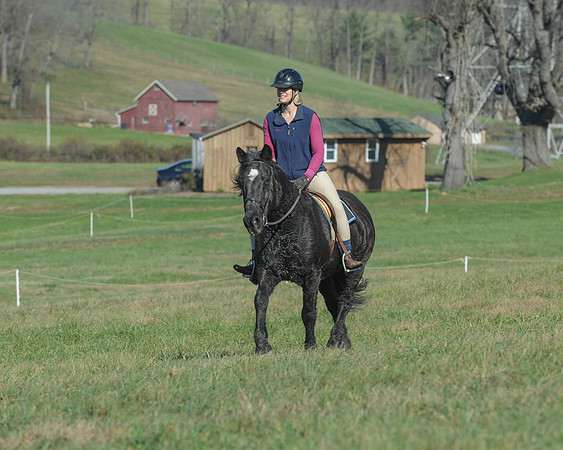 BHPC(11-15-15)0408
