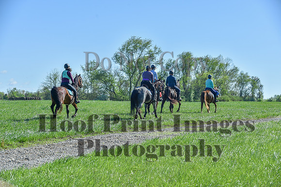 ChesapeakeSpring(4-27-25)0502