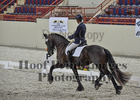 CWdressageI(8-20-16)0301