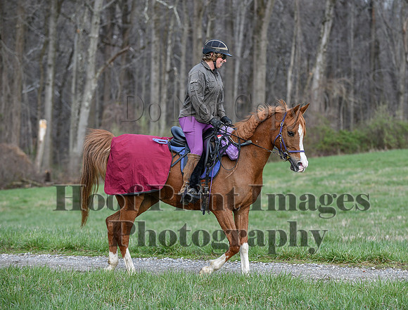 ChesapeakeSpring(4-10-22)0140