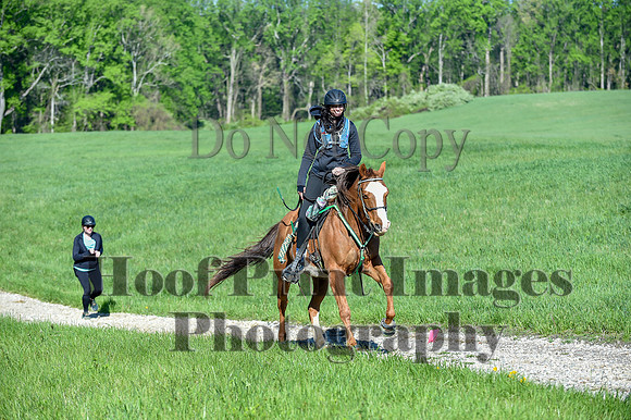 ChesapeakeSpring(4-27-25)0377