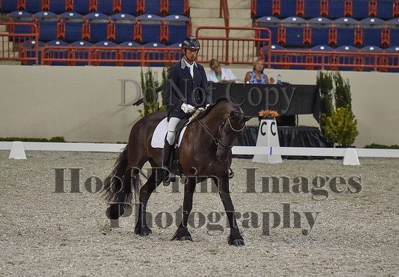 CWdressageI(8-20-16)0299