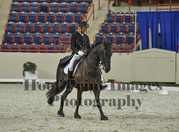 CWdressageI(8-20-16)1122