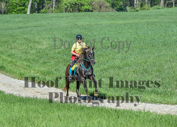 ChesapeakeSpring(4-27-25)0572