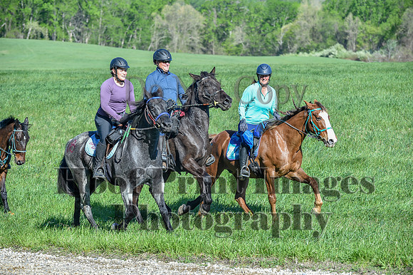 ChesapeakeSpring(4-27-25)0485