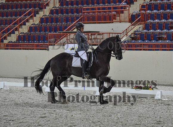 CWdressageI(8-20-16)1220