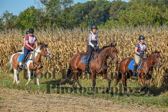 CheshirePonyClubPC(10-6-24)0061