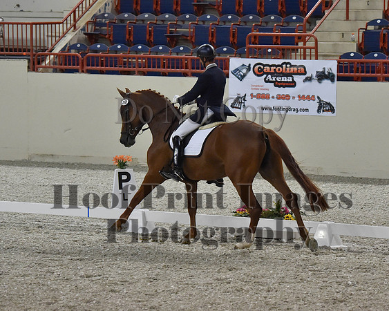 CWdressageII(8-21-16)1341