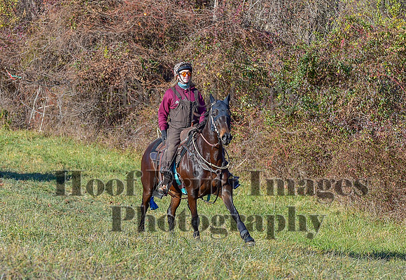 FairHillFallPC(11-30-24)0100