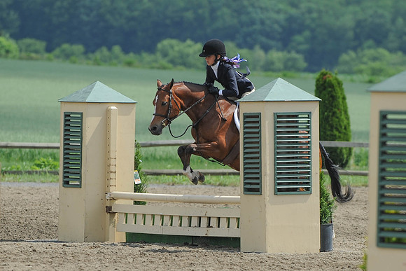 SC(6-28-14)SMPony0061