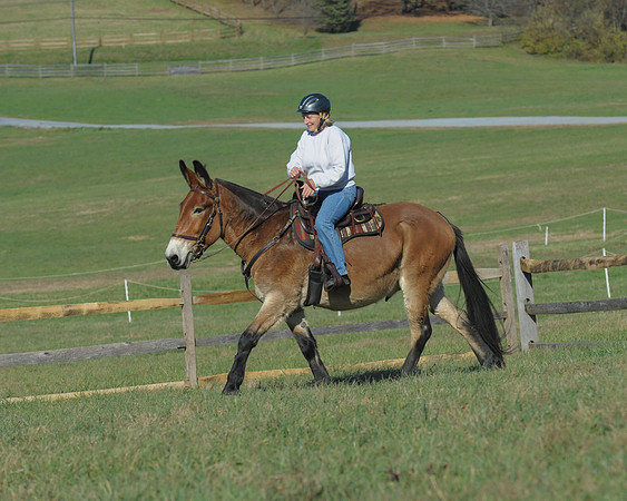 BHPC(11-15-15)0518