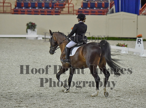 CWdressageI(8-20-16)0201