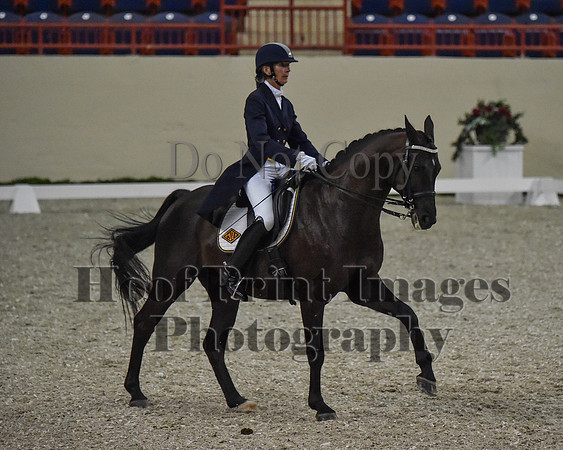 CWdressageII(8-21-16)0718
