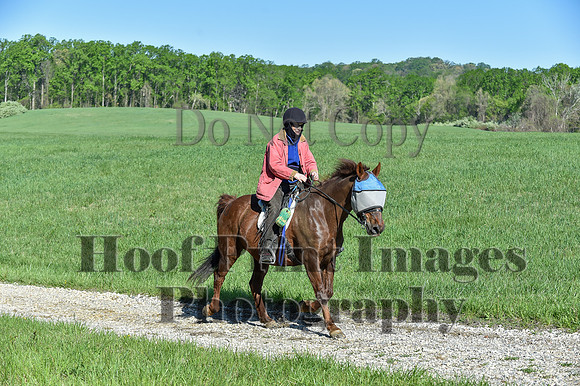 ChesapeakeSpring(4-27-25)0465
