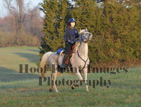 Foxcatcher(4-12-14)0225