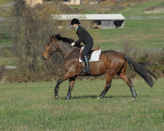 BHPC(11-15-15)0135
