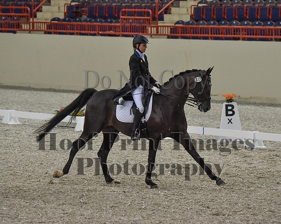 CWdressageII(8-21-16)0678