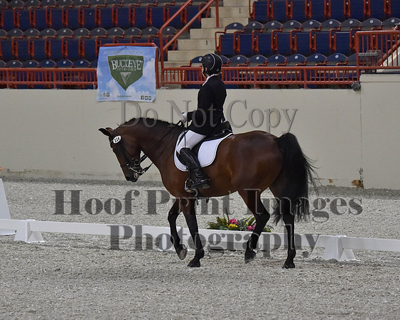 CWdressageII(8-21-16)1609