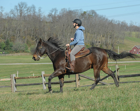 BHPC(11-15-15)0348