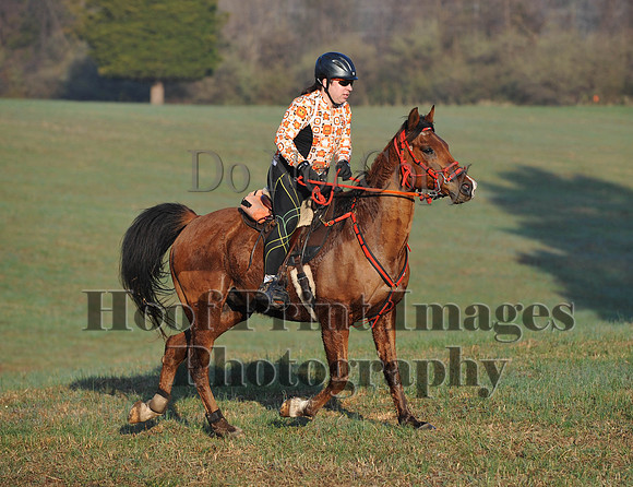 Foxcatcher(4-12-14)0529