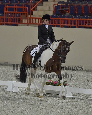 CWdressageII(8-21-16)1098