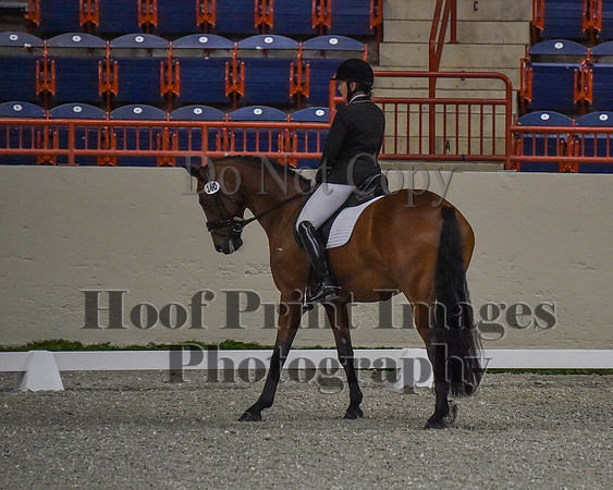 CWdressageII(8-21-16)0153