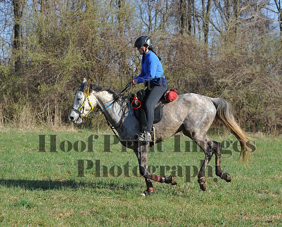 Foxcatcher(4-12-14)0554