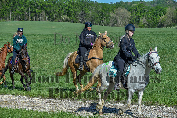 ChesapeakeSpring(4-27-25)0540