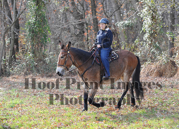 AndrewsBr(11-9-14)0573